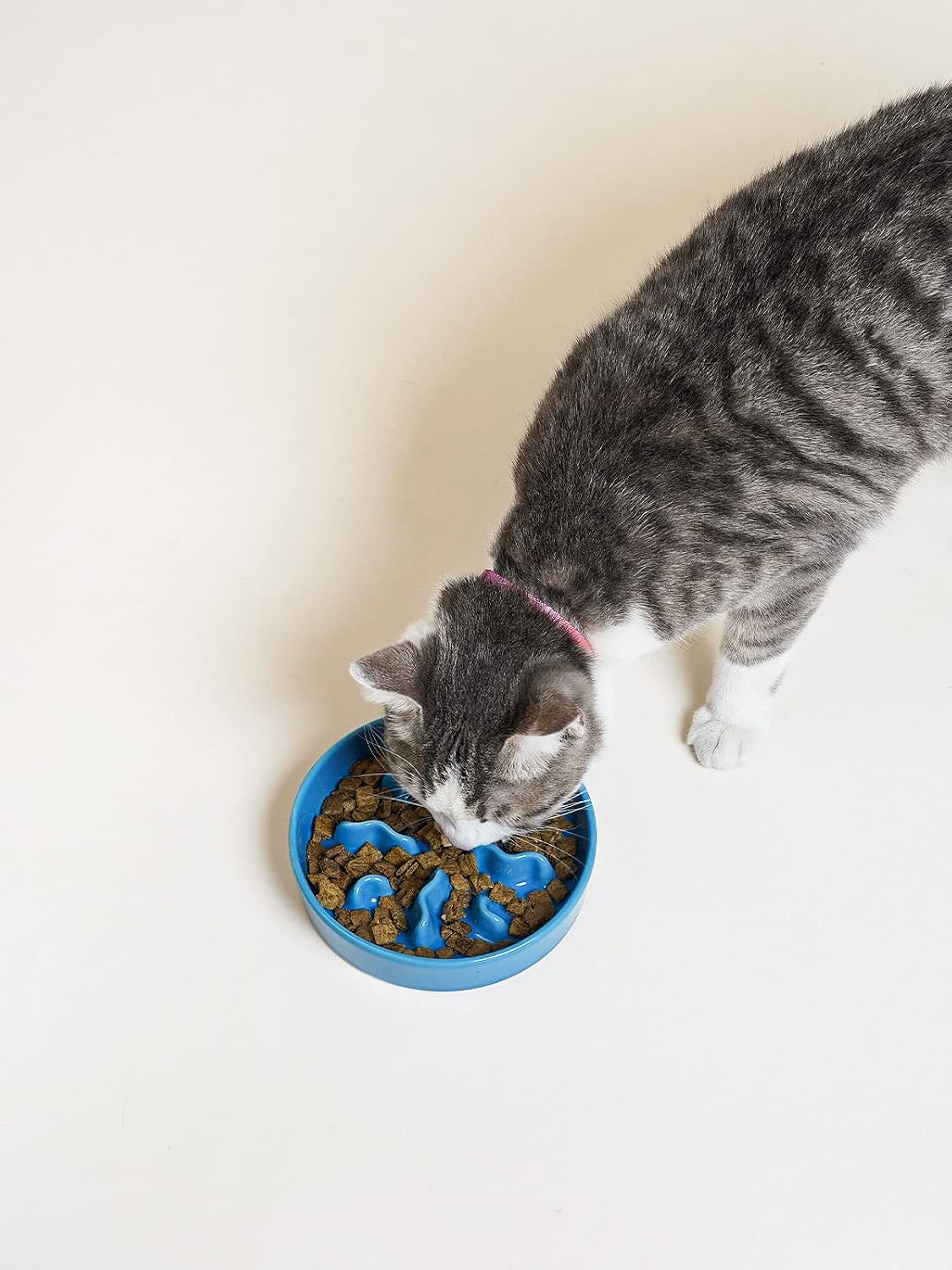 Ceramic Slow Feeder Dog Bowls Small Breed - Blue / S-0.5 Cups - image 4