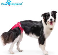 Paw Inspired Washable Dog Diapers, Assorted and White Lining - Assorted (Black Lining) / Large (2 ct.) - image 3