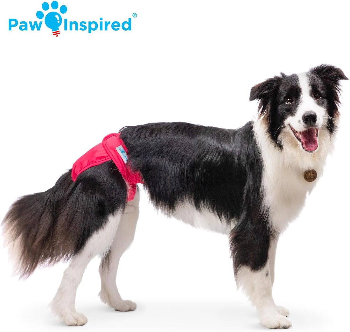 Paw Inspired Washable Dog Diapers, Assorted and White Lining - Assorted (Black Lining) / Large (2 ct.) - image 3