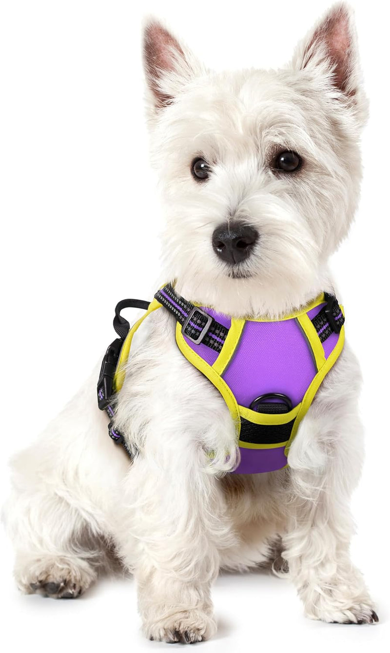 rabbitgoo No Pull Dog Harness