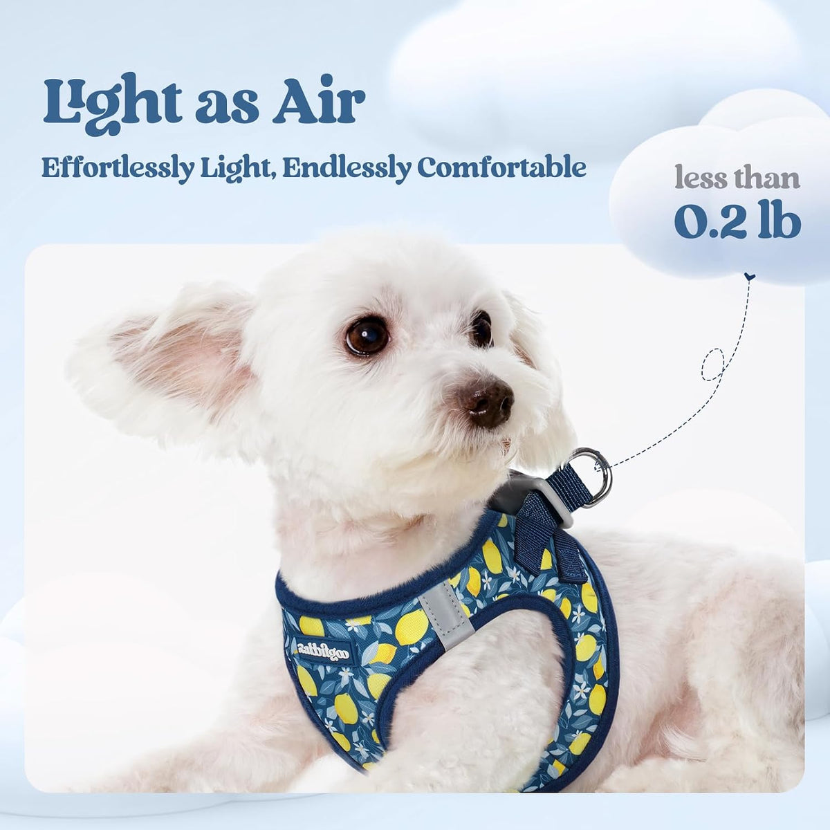 rabbitgoo Dog Harness Small Sized and Leash Set - Navy Lemon / Xs (chest: 13.3 - 15.5") - image 3