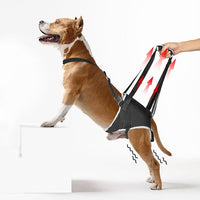 Dog Lift Harness for Large Dogs – Hind Leg Support Sling for Muscle Atrophy, Joint Pain, and Senior Pets, Adjustable Design Helps with Walking, Stairs, and Daily Mobility, L
