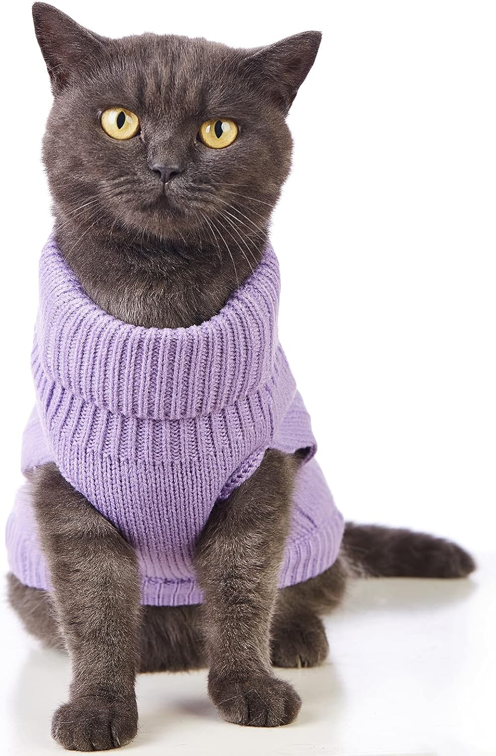 Cat Sweater Stretchy, 19 Colors, 6 Sizes - Purple / Large / Vest - image 3