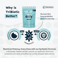 Daily Synbiotic Formula - A TriBiotic Blend with 6 Strains, B-Vitamins, and Digestive Enzymes in 30 Packs