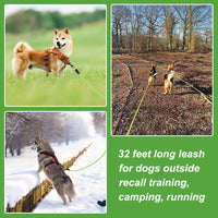 Vivifying Floating Long Dog Leash - 32ft / Green - image 4