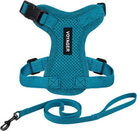 Voyager Escape-Proof Step-in Harness & Leash, Moss Green - Turquoise / S (Chest: 15 - 18")