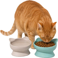 Kitty City Elevated Cat Bowls - Beige & Teal / Small - image 2