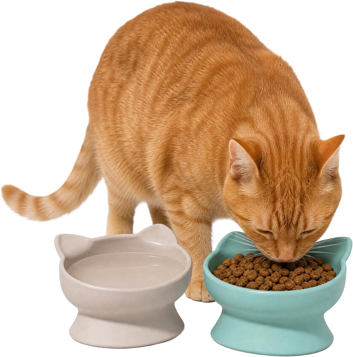 Kitty City Elevated Cat Bowls - Beige & Teal / Small - image 2