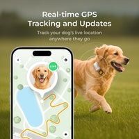 Petcube GPS Tracker for Dogs - GPS Tracker for Dogs - image 3