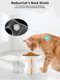 Elevated Cat Food and Water Bowls Set - Single (Food Bowl) / White - image 3