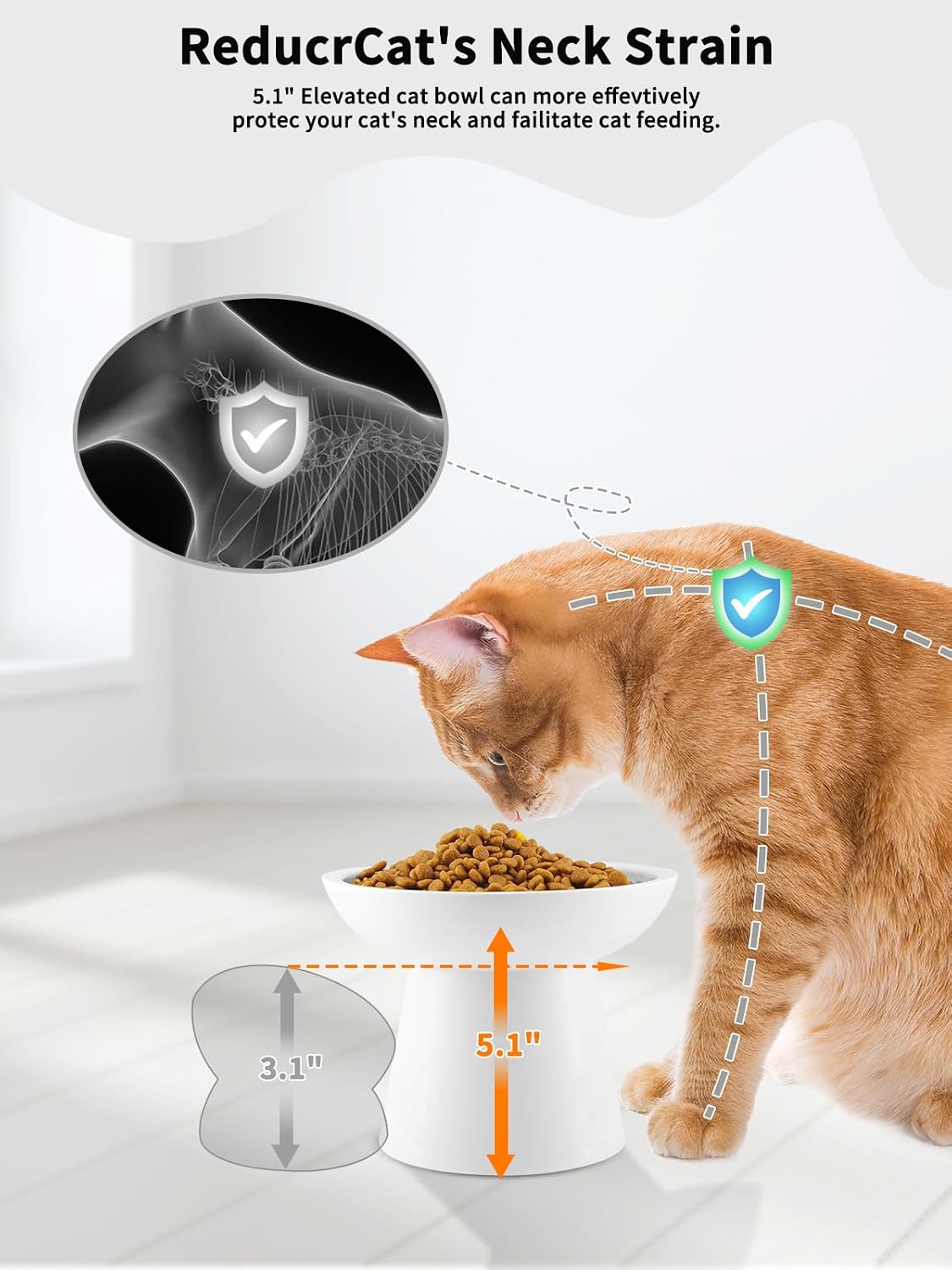 Elevated Cat Food and Water Bowls Set - Single (Food Bowl) / White - image 3