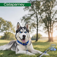 Dog Tie Out Stake (2-Pack),360°Swivel Run Stake,for Yard,Use Any Dog Tie Out Cable or Yard Leash
