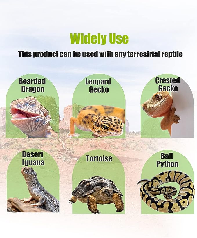 Bearded Dragon Tank Accessories, Reptile Substrate Floor for Bearded Dragon Enclosure 4x2x2, Leopard Gecko Tank Liner Mat for 120 Gallon Reptile Tank, Green