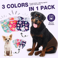 Pet Soft Washable Female Diapers Female Dog Diapers - Bloom / X-Small:7.5''-10'' - image 2