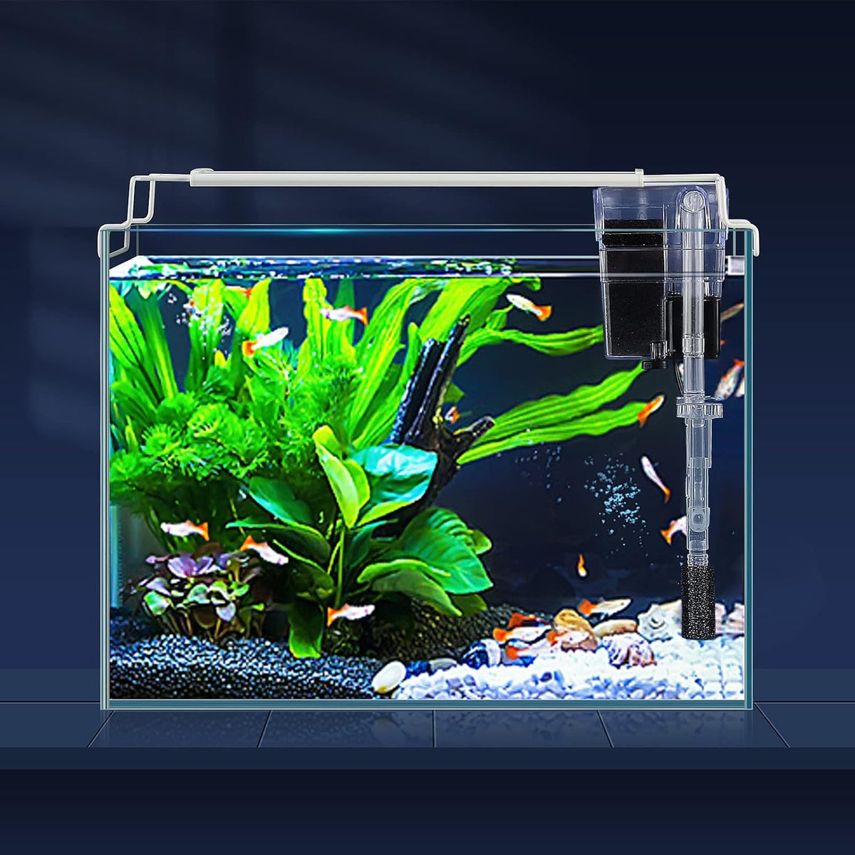 6.5 Gallon Ultra Clear Glass Fish Tank - 3 gallons - Starter Kit