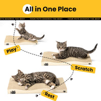 Cat Scratcher, Durable Scratch Pad - Beige / M: 16" - 2 Pack - image 4