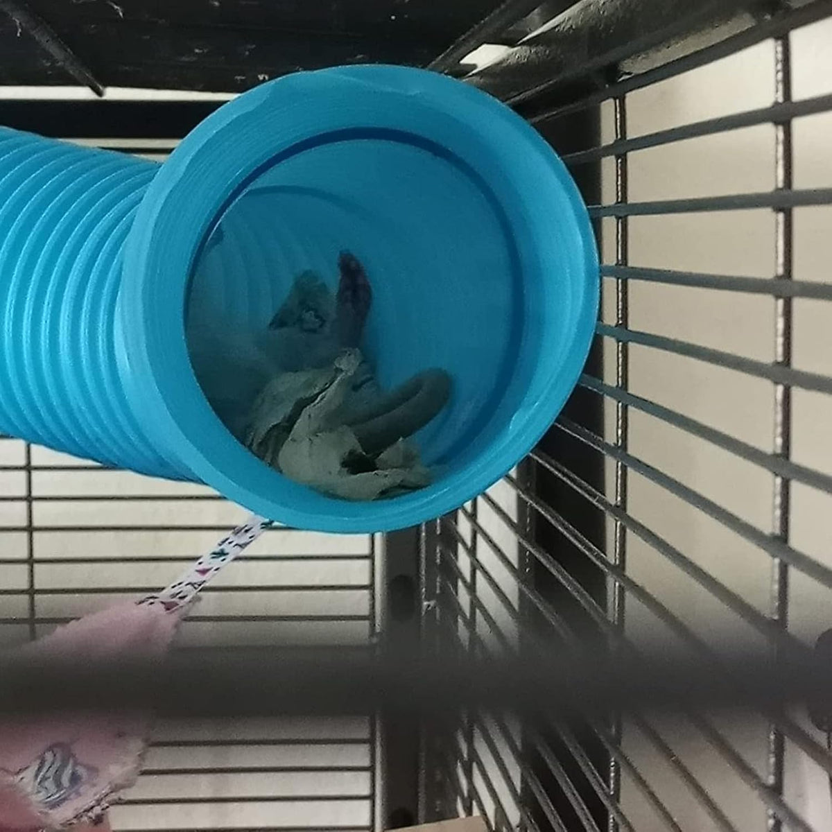 Plastic Hamster Tunnels, Small Animal Tubes - 【Blue】 / 【1 PCS】 - image 2