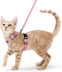 rabbitgoo Cat Harness and Leash Set, Escape Proof Vest - S / Pink & Light Green