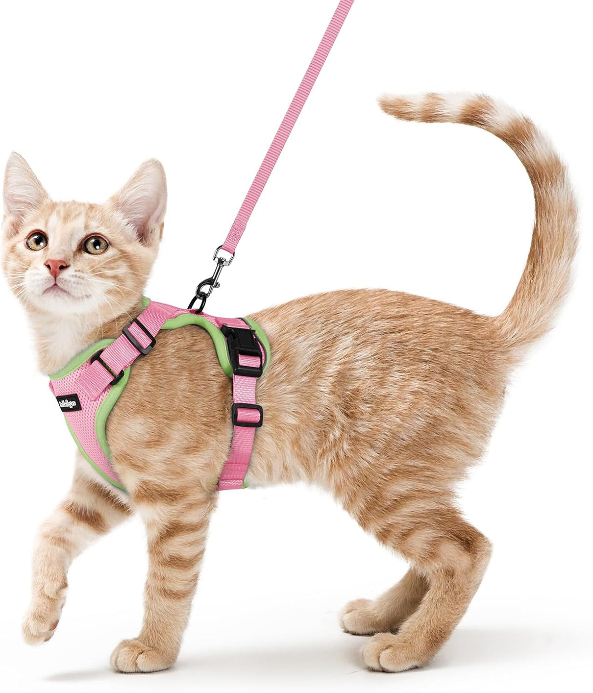 rabbitgoo Cat Harness and Leash Set, Escape Proof Vest - S / Pink & Light Green