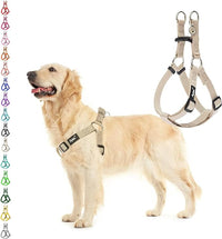 PUPTECK No Pull Dog Harness Soft Adjustable Basic Nylon Step in Puppy Vest Outdoor Walking with ID Tag Medium Cream