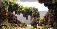 48x24 in Viewing Stone Aquarium Backdrop Riverbed Fish Tank Background – Essentials for Fish - 48x24in/120x60cm