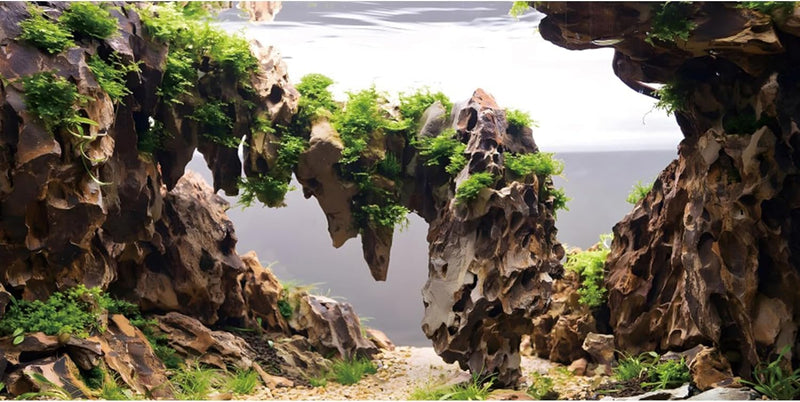 48x24 in Viewing Stone Aquarium Backdrop Riverbed Fish Tank Background – Essentials for Fish - 48x24in/120x60cm