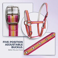 JWODVNTH Adjustable Horse Halter with PP Webbing, Durable Horse Halters with Zinc Alloy Hardware, Horses Training Equipment to Prevent Friction for Training, Competitions ＆ Daily