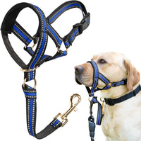 Muzzle Leash for Heavy Pullers, No Pull Stylish Head Halter – Essentials for Dogs - Blue / XL (Snout Cir: 12½"-14”)