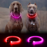 2 Packs Light Up Dog Collar - Pink+Red - image 2