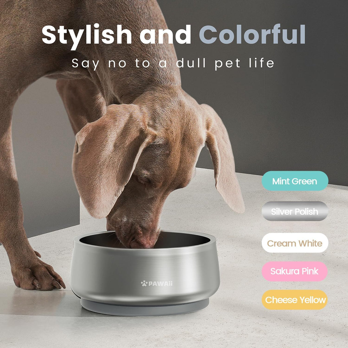 Pawaii Small Dog Bowl, 12 oz Stainless Steel Food and Water Bowl, 1 Pack – Essentials for Dogs - 34oz / Silver Polish - image 4