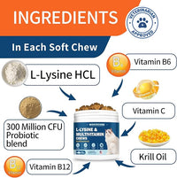 L-Lysine Supplement for Cats, Cat Vitamins for Sneezing, Runny Nose, Cold, Immune Support, Eye Function and Respiratory Health, Natural Lysine Cat Treats (120 Chews, Tuna)