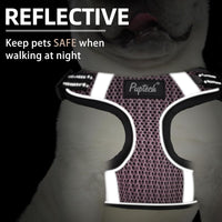 PUPTECK Dog Harness and Leash Set Small Sized - S (13-17lbs, Chest 15"-18") / #1 LightPink(Breathable Mesh) - image 4