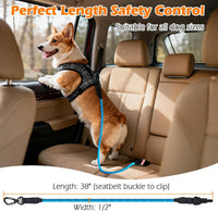 Dog Seat Belt for Car, Durable Rope Dog Car Harness for Vehicle – Essentials for Dogs - Light Blue / 1 Pack - image 4