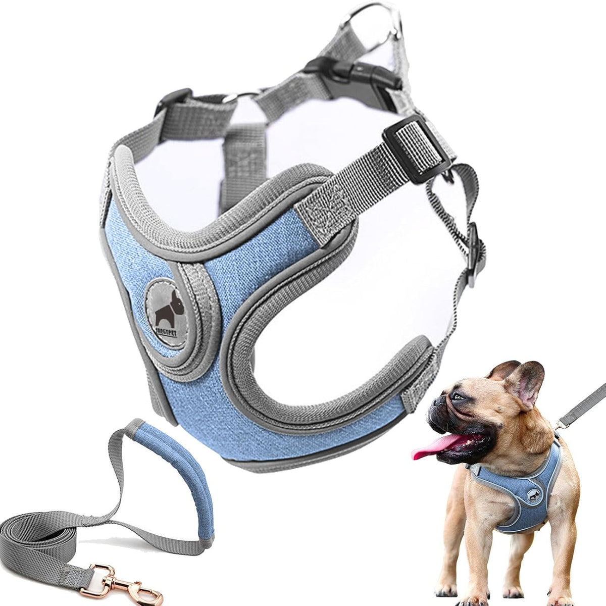 Dog Harness with Leash Set, No Pull Adjustable Step in Pet Vest – Essentials for Dogs - Blue / L