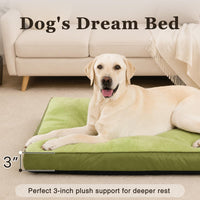 Large Plush Dog Bed for Crate with Washable Cover, 35x22 - 29.0"L x 18.0"W x 3.0"Th / Green - image 2