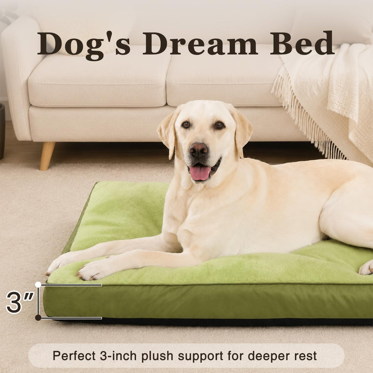 Large Plush Dog Bed for Crate with Washable Cover, 35x22 - 29.0"L x 18.0"W x 3.0"Th / Green - image 2