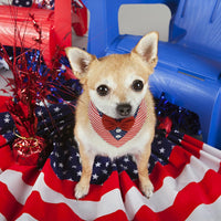 Dog Tuxedo for Small Dogs Valentines Bandana with Bowtie Wedding Tux – Essentials for Dogs - Independence Day / Large - image 2