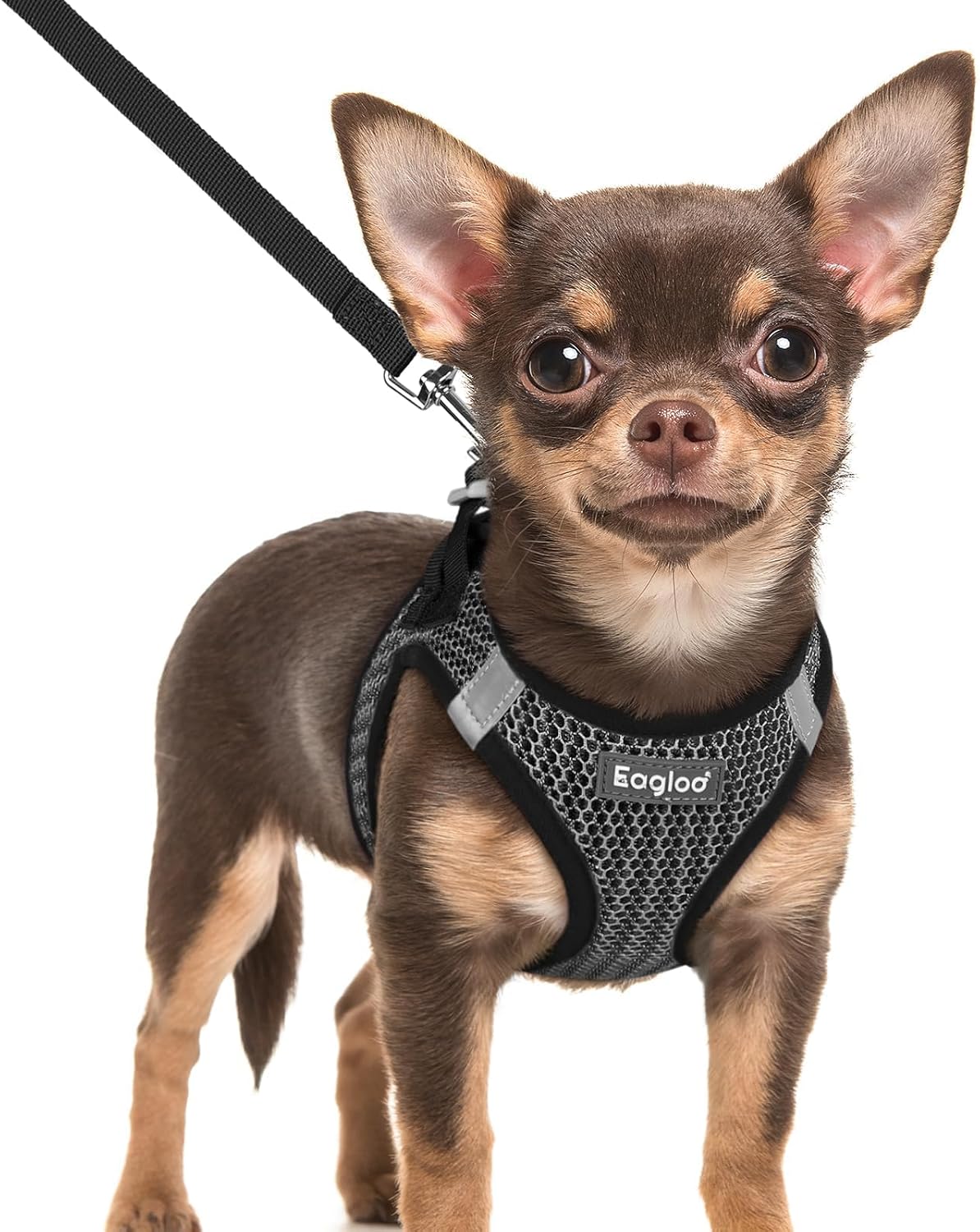 Eagloo Small Dog Harness and Leash Set - XXS(Chest:12.4"-14.2") / Gray