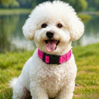 Dog Collar for Small Medium Dogs with Buckle - Deep Pink / Large - image 2