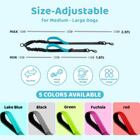 Double Dog Leash, No Tangle Splitter for Two Dogs - Blue - image 2