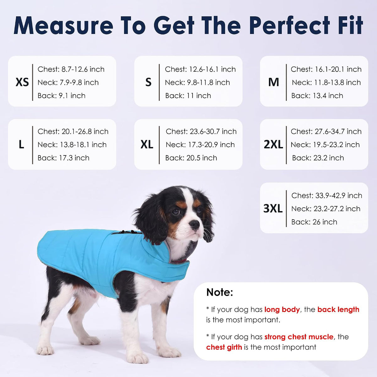 Waterproof Dog Winter Coat - Sky Blue / XL(Chest Girth:23.6-30.7") - image 2