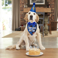 Dog Birthday Hat Bandana Set, Blue Plaid Boy Dog Bandana - X-Large / Blue - image 2