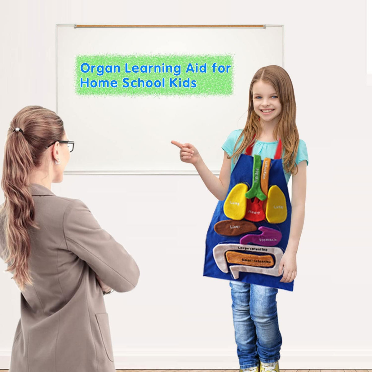 Boczif 3D anatomy apron for kids with removable stuffed organs on a labeled apron - view 2