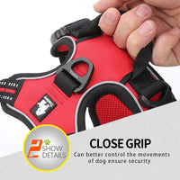 Truelove No Pull Dog Harness with Easy Control Handle and 2 Leash - Large / Red - image 2