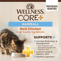 Wellness CORE+ Hairball Adult Dry Cat Food for Indoor & Outdoor Cats, Grain Free, Natural, Chicken and Chicken Meal (4.75 Pound Bag)