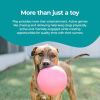 Jolly Pets Bounce-n-Play Dog Toy Ball - Pink / Large (8 in) - image 4