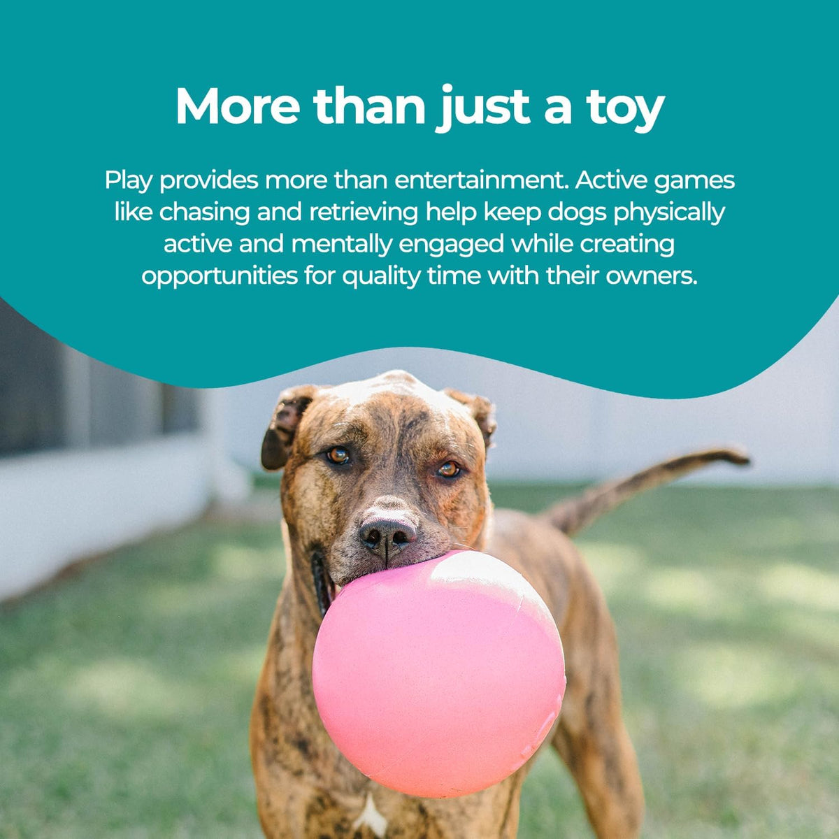 Jolly Pets Bounce-n-Play Dog Toy Ball - Pink / Large (8 in) - image 4