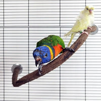 Parrot Perch Stand Bird Cage Stand Pole Natural Wild Grape Stick Grinding Paw Cage Accessories for Parakeet Cockatiels Budgies Conure Lovebirds Platform (U-Shaped)