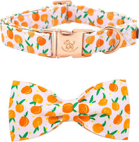 Dog Collar with Bow, Elegant Little Tail Blue Plaid Boy Dog Collar Cute Bow – Essentials for Dogs - Peach / Small (Pack of 1)
