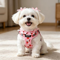 PUPTECK Dog Harness and Leash Set Small Sized - S (13-17lbs, Chest 15"-18") / #2 Pink(Strawberry Print) - image 3